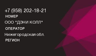 9582021821